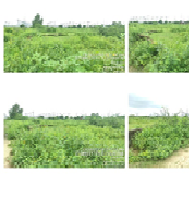 MONIKA FINE ART-240720253